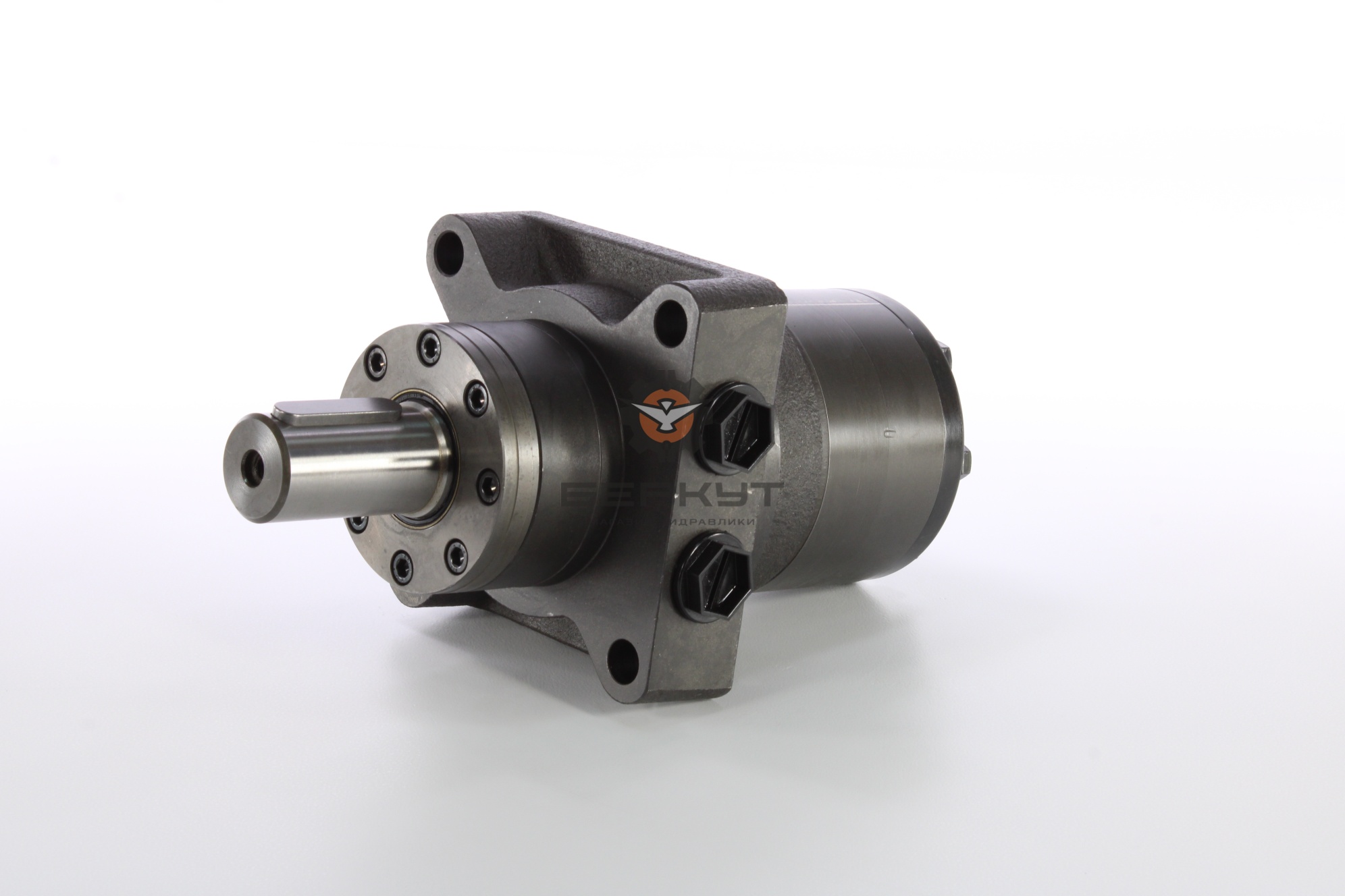 Гидромотор RW-315 CB
